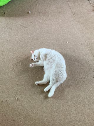 ㄹ진님이 올린 리뷰 사진 3