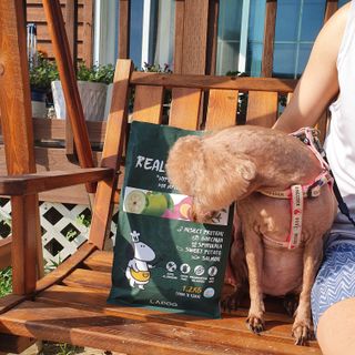 [푸디웜] 라포그  리얼인섹트 웨이트밸런스 저알러지 강아지 사료  1.2KG — 4점을 준 리뷰어가 2022년 7월 올린 사용 사진