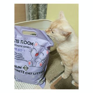 겟플렉스 켓플렉스 캣츠룸BS-1 고양이모래 4kg — 5점을 준 리뷰어가 2021년 1월 올린 사용 사진