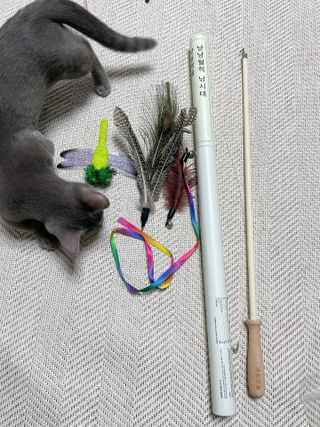 햄미이모님이 올린 리뷰 사진 1