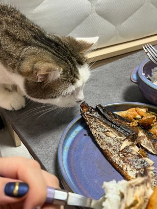 바굼님이 올린 리뷰 사진 3