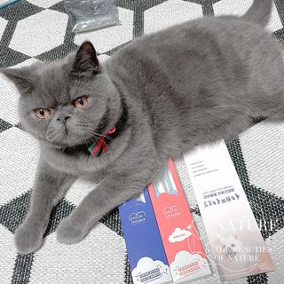 sehee님이 올린 리뷰 사진 1
