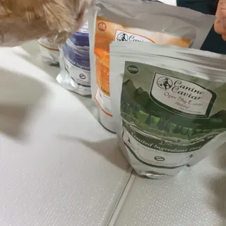 보리엄마님이 올린 리뷰 사진 1