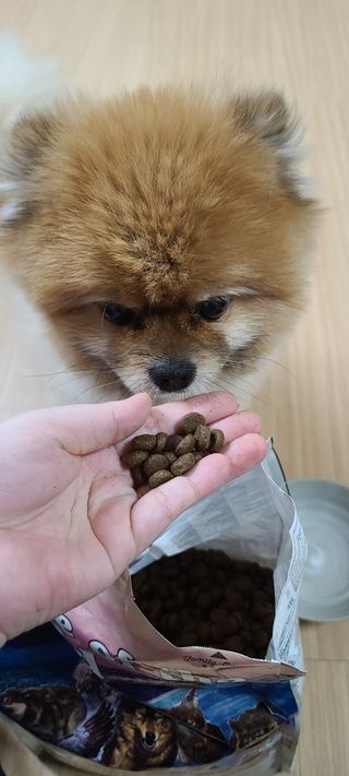 박성혜님이 올린 리뷰 사진 3