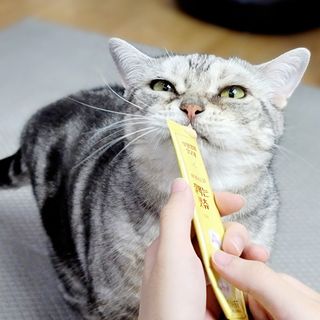 페페로니 잘 먹는 캣츄 - 무항생제 닭고기 24개입 — 5점을 준 리뷰어가 2021년 7월 올린 사용 사진