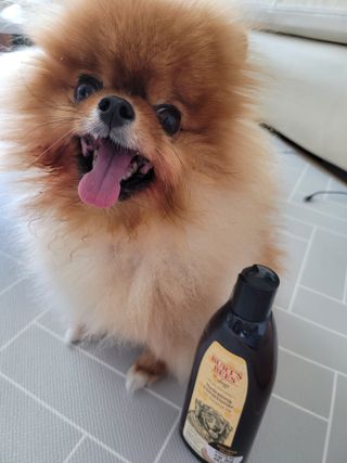 max님이 올린 리뷰 사진 1