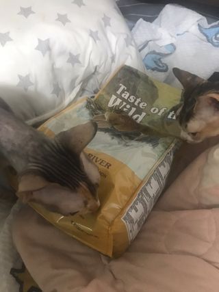narihalmany님이 올린 리뷰 사진 2