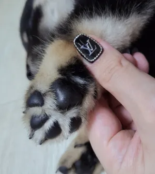 김찡끗님이 올린 리뷰 사진 3