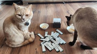 오드리님이 올린 리뷰 사진 3