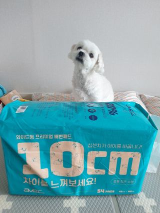 아베크 펫 와이드 프리미엄 중형 애견 강아지 배변 패드 54매 1팩 45g — 5점을 준 리뷰어가 2021년 7월 올린 사용 사진