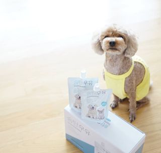 윤디캔디님이 올린 리뷰 사진 2
