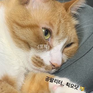 조이님이 올린 리뷰 사진 1