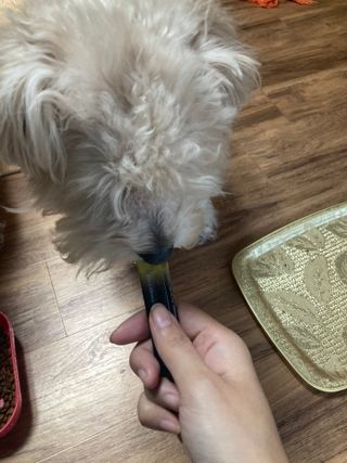 민트초코님이 올린 리뷰 사진 4