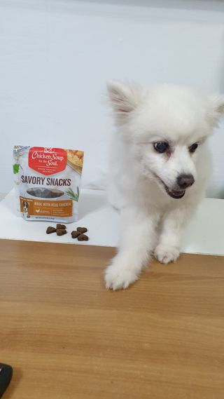 둘둘이님이 올린 리뷰 사진 1