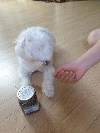 페페로니 진짜 오메가3 연어+소고기 180g+180g — 5점을 준 리뷰어가 2021년 7월 올린 사용 사진