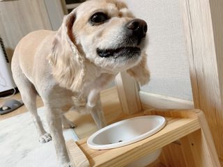 꺼꾸리님이 올린 리뷰 사진 4