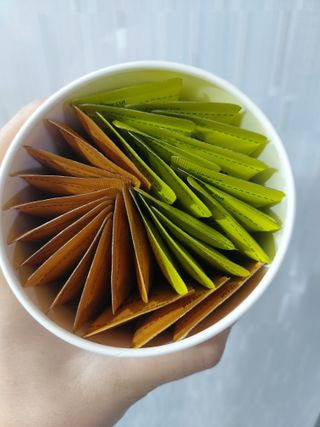 페페로니 맛있는 스틱 - 무항생제 닭고기 15개 + 원양선 참치 15개 — 5점을 준 리뷰어가 2021년 10월 올린 사용 사진