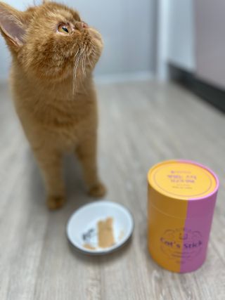 페페로니 맛있는 스틱 - 무항생제 닭고기 15개 + 알래스카 연어 15개 — 3점을 준 리뷰어가 2021년 8월 올린 사용 사진