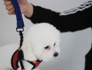 비니주니맘 :D님이 올린 리뷰 사진 4