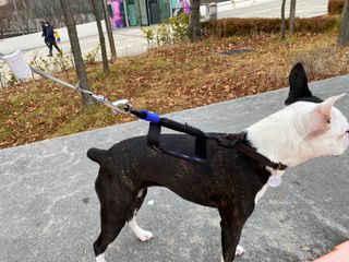 봉순이네님이 올린 리뷰 사진 2