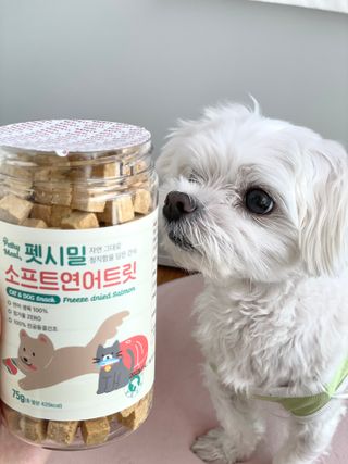 [펫시밀] 원물그대로 영양듬뿍 진공동결건조 북어트릿75g,치킨트릿100g,연어트릿75g 강아지 고양이 간식 — 5점을 준 리뷰어가 2023년 5월 올린 사용 사진