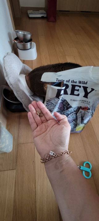반짝님이 올린 리뷰 사진 2