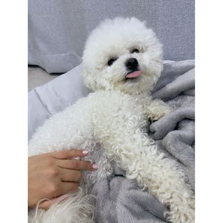 JENNY님이 올린 리뷰 사진 1