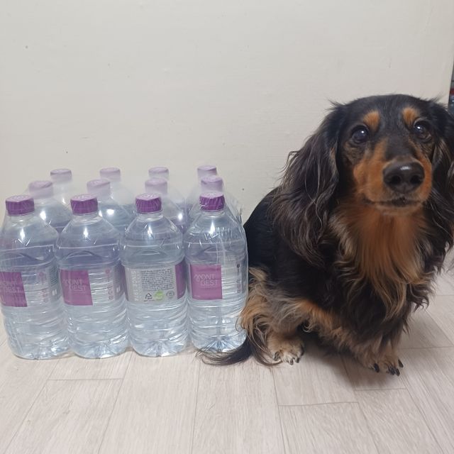 MONTBEST 1L 12입 리뷰 사진