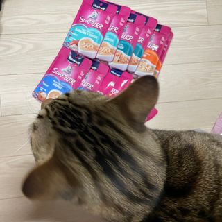 연두님이 올린 리뷰 사진 2