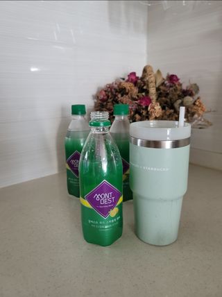 몽베스트 Montbest with Sparkling water Lemon OR Lime 20병(랜덤) — 5점을 준 리뷰어가 2021년 10월 올린 사용 사진