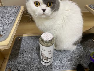 핑크천사님이 올린 리뷰 사진 3