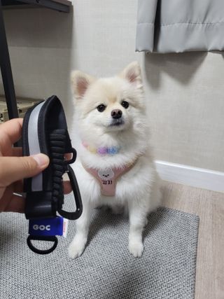 withmin님이 올린 리뷰 사진 2