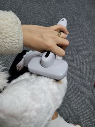 제제님이 올린 리뷰 사진 4