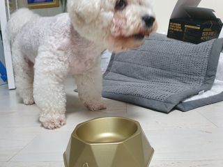 [세싹보울] 세균 싹~ 사라지는 셀앤핏 펫 항균동 애견식기 — 5점을 준 리뷰어가 2021년 7월 올린 사용 사진