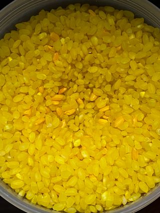 하나로라이스 기능성쌀 5종 1kg  환경을 생각한 다회용 용기 사용 — 5점을 준 리뷰어가 2022년 1월 올린 사용 사진