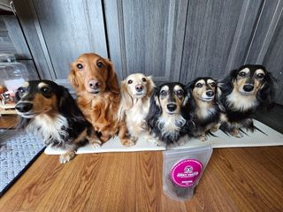 5_daks님이 올린 리뷰 사진 2