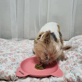 솜희님이 올린 리뷰 사진 4