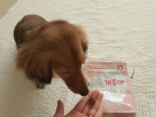 My Pet Care 천연단백질 관절건강에 개좋아 — 5점을 준 리뷰어가 2021년 1월 올린 사용 사진