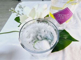 몽베스트 Montbest with Sparkling water Lemon OR Lime 20병(랜덤) — 5점을 준 리뷰어가 2024년 4월 올린 사용 사진