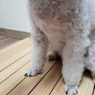 lemoniee님이 올린 리뷰 사진 2