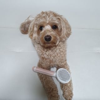 기린짱맘님이 올린 리뷰 사진 1