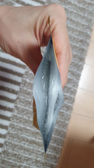 영.주님이 올린 리뷰 사진 3