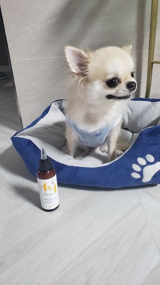 티나님이 올린 리뷰 사진 2