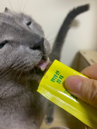 냥냥이님이 올린 리뷰 사진 3
