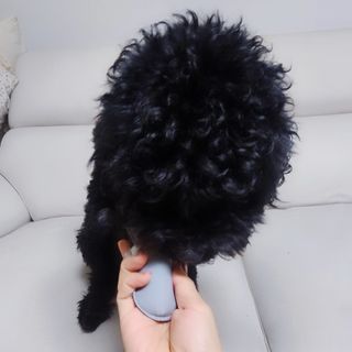 다시마미마미님이 올린 리뷰 사진 1