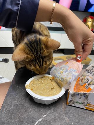 Erika님이 올린 리뷰 사진 2