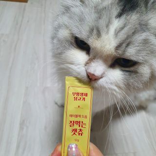 페페로니 잘 먹는 캣츄 - 무항생제 닭고기 24개입 — 5점을 준 리뷰어가 2021년 7월 올린 사용 사진