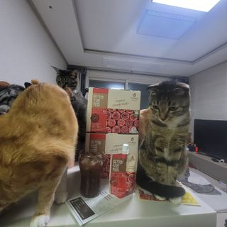 이째님이 올린 리뷰 사진 4