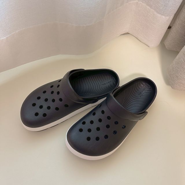 COQUI 코쿠이 점퍼(신규 컬러) 및 니코, 시드 릴스 리뷰 사진