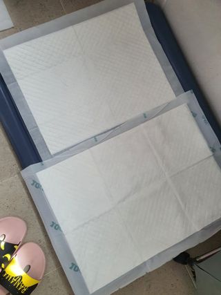 아베크 펫 와이드 프리미엄 중형 애견 강아지 배변 패드 54매 1팩 45g — 5점을 준 리뷰어가 2021년 7월 올린 사용 사진